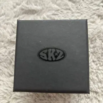 straykids 한 반지