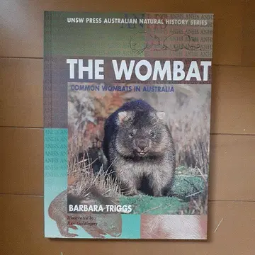 THE WOMBAT