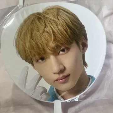 시가 리쿠 부채 ICEx EBiDAN 에비라이 미개봉 새상품