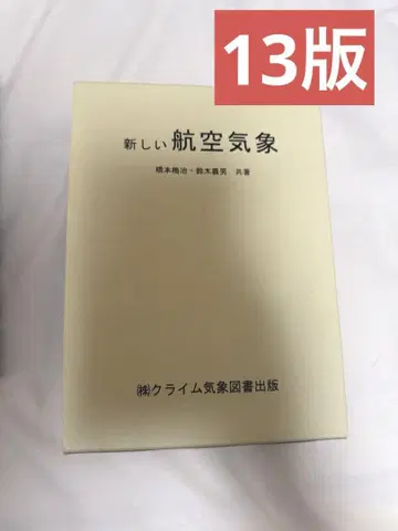 새로운 항공 기상