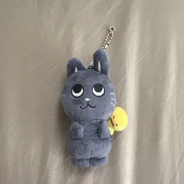 공식 MD RIIZE 10cm 인형 KEYRING 원빈 냥독