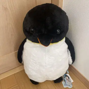 펭귄 아일랜드 시코테이 봉제 인형