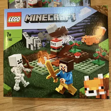 LEGO Minecraft 21162 스티브와 스켈레톤