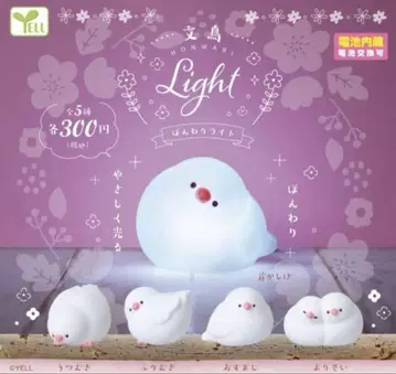 문조 혼와리 라이트 컴플리트 문조 Light 5세트