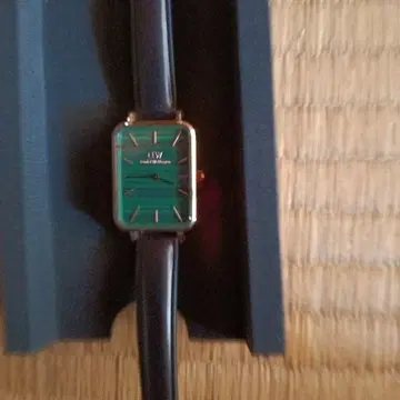 DANIEL WELLINGTON 쿼츠 손목시계 그린