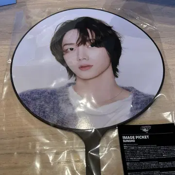 손호 부채