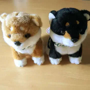 CUTE 마메시바 블랙 마메시바 콩시바 보자기 일본 봉제 인형 세트