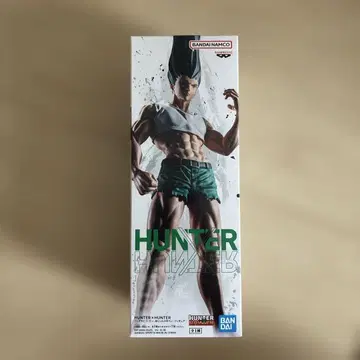 HUNTER x HUNTER 피그라이프!