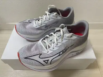 Mizuno Wave Rebellion Flash 2 러닝화