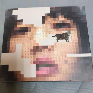 아이묭 고양이에게 젤러시 (최초 한정 DVD반)