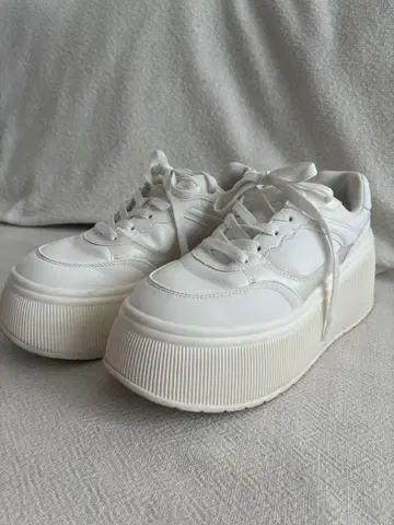 ZARA 플랫폼 스니커즈 37