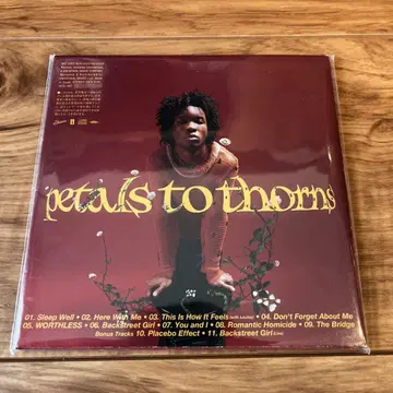 D4vd Petals to Thorns