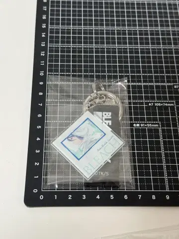 BLEACH EX. 레코드 자켓 키체인 컬렉션 후목 루키아