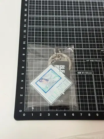 BLEACH EX. 레코드 자켓 키체인 컬렉션 후목 루키아