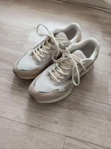 웨이브 라이더 베타