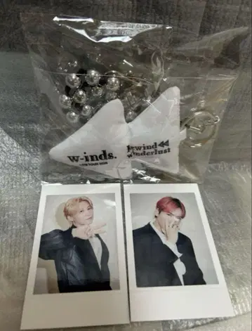 w-inds. 인스턴트 포토 카드, 쿠션 스트랩, 메쉬 파우치