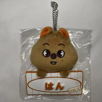 skzoo TOYWORLD 한쿼카 네임백참