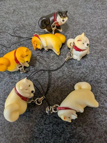거부견 2 묶음 판매