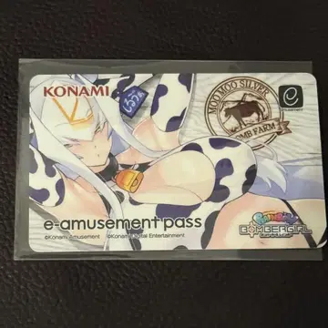 봄버걸 실바 이패스 e-ammusement pass