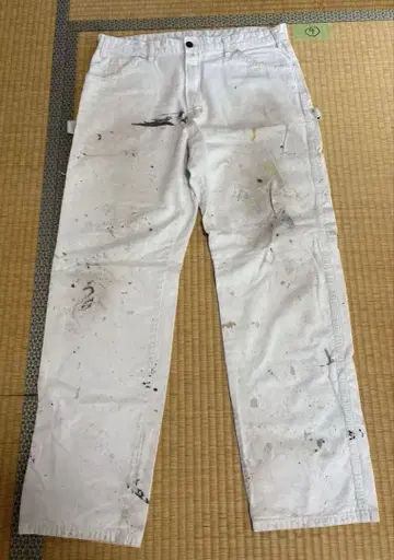 9 Dickies Sherwin Williams w36