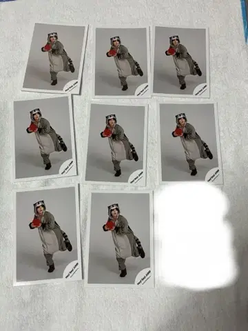 야마다 료스케 공식 사진 너구리 8장 세트