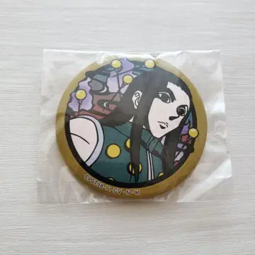 이르미 캔뱃지