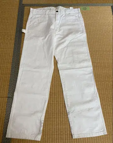 11 Dickies Sherwin Williams w36