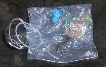 포켓몬 테라리움 컬렉션 도오 누오 피규어 한가로운 순간