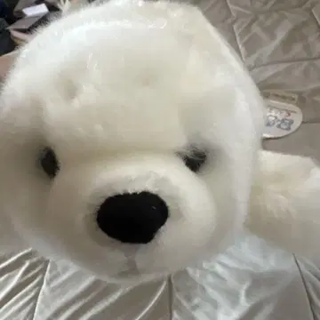 CUTE MARINE COLLECTION 물개 봉제 인형 35cm