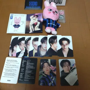 KARMA (SKZOO VER.) 돼끼