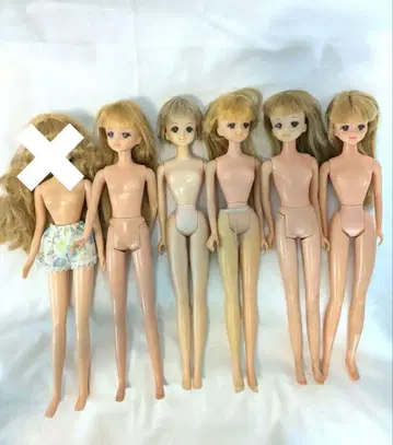 엑셀리나? 제니 정크 세트