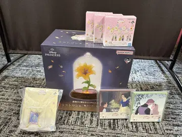 디즈니 프린세스 제일복권 라스트 원