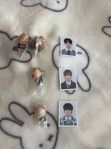 스키즈 세트 판매