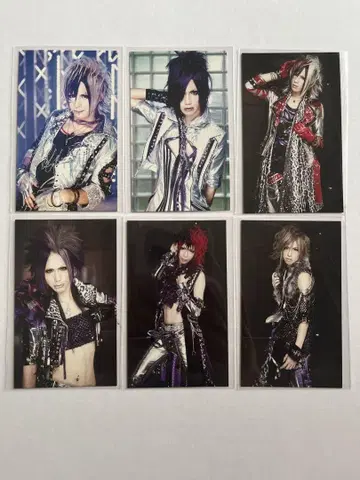 Royz 2011~2012년 폴라로이드 CD 봉입 트레이딩 카드