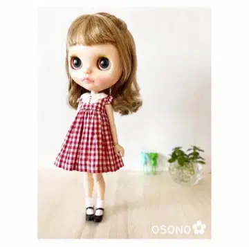 브라이스 아웃핏 2세트