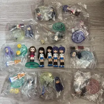 피규어 피규메이트 마법선생 네기마! 묶음 판매