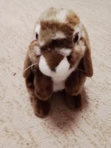 Hamleys 봉제 인형 토끼 브라운