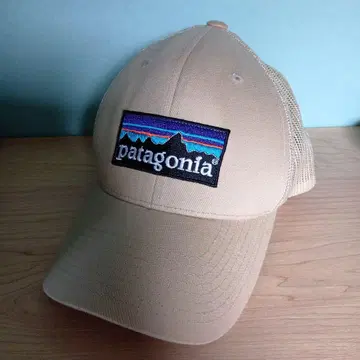 patagonia 베이지 캡