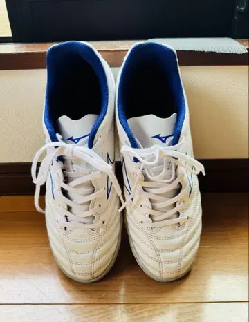 Mizuno 축구 트레이닝화 화이트/블루