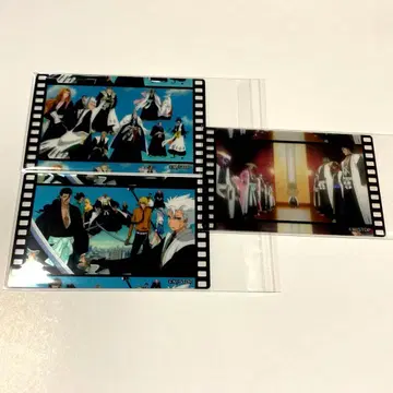 BLEACH 366 메모러블 신 컬렉션 클리어 카드 호정 13대