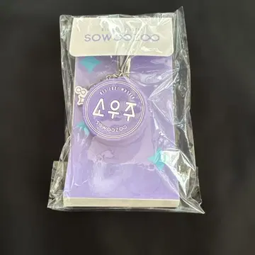 BTS 보이스 키링