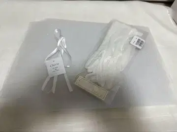 화이트 레이스 웨딩 베일 그로브 세트