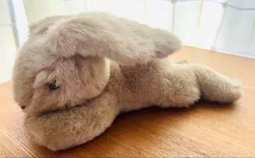 St Michael (Marks & Spencer) 토끼 봉제 인형