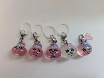 빤쮸토끼 메지루시 액세서리 5개 세트