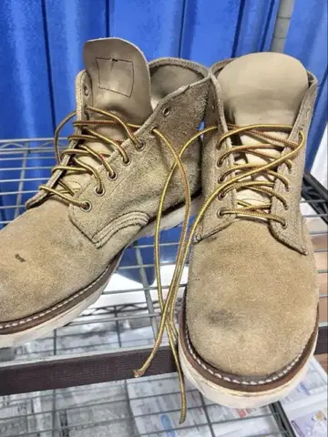 90s REDWING 8167 사각견 택 USA 아이리쉬 세터
