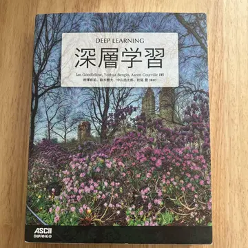 심층 학습
