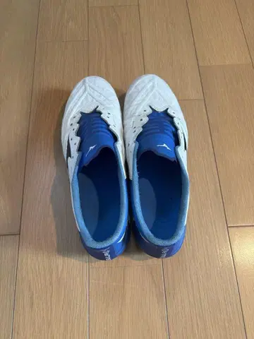 리뷰라 2 Mizuno 풋살화 화이트/블루