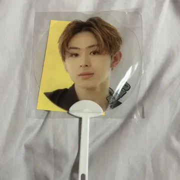 ONE N' ONLY 원엔 에이큐 EIKU 에비파레 부채 스티커