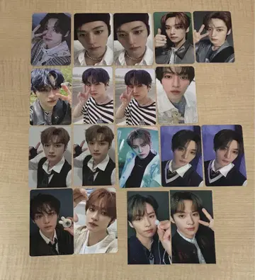 Stray Kids 스키즈 리노 트레이딩 카드 18장 묶음 판매