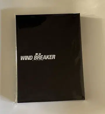 윈브레 DVD